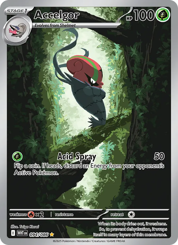 Accelgor — White Flare #094 (Pokémon TCG card)