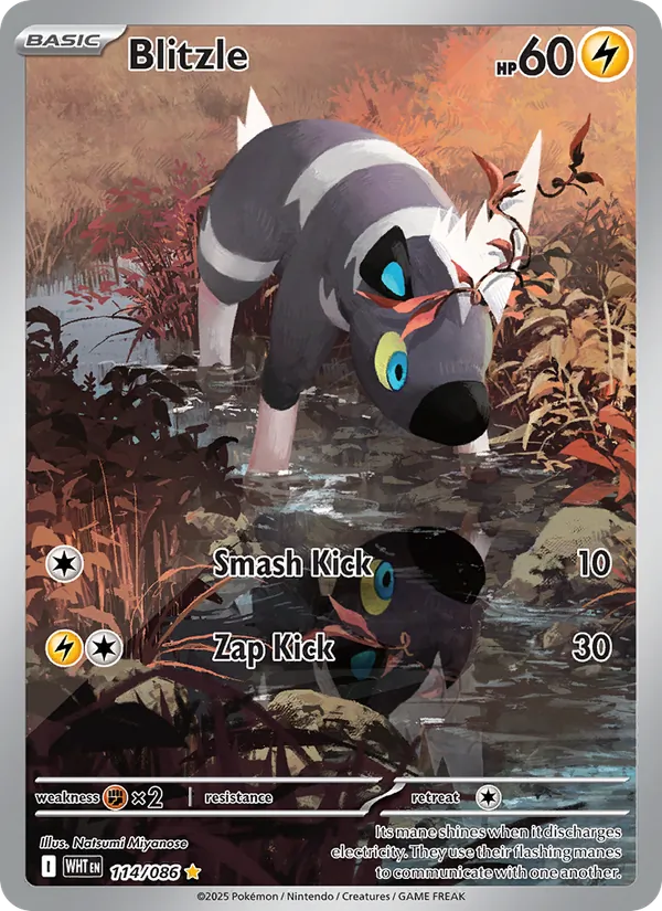 Blitzle — White Flare #114 (Pokémon TCG card)