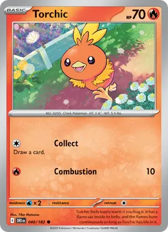Torchic (Destined Rivals #040)