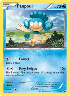 Panpour (Kalos Starter Set #11)