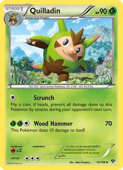 Quilladin (XY #13)
