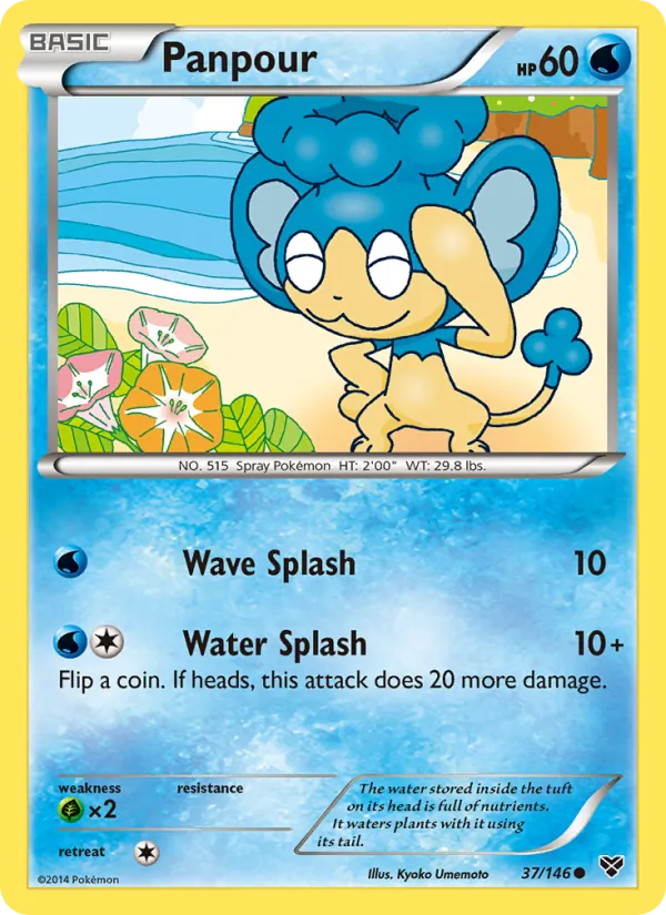 Panpour — XY #37 (Pokémon TCG card)