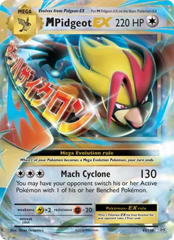 M Pidgeot EX (Evolutions #65)