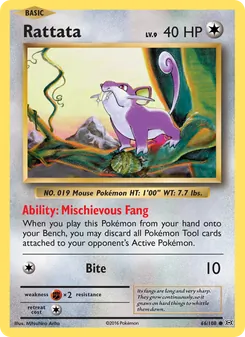 Rattata (Evolutions #66)