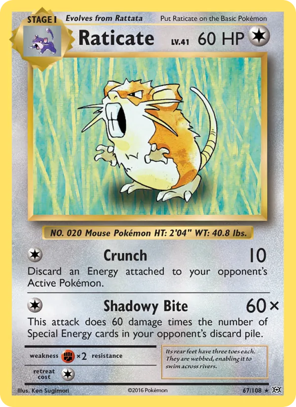 Raticate — Evolutions #67 (Pokémon TCG card)
