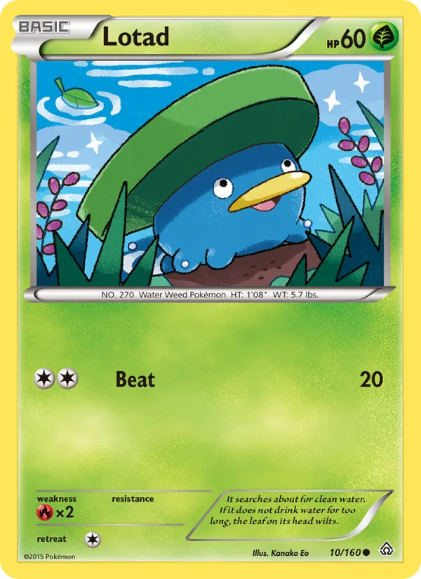 Lotad — Primal Clash #10 (Pokémon TCG card)