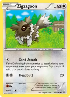 Zigzagoon (Primal Clash #111)