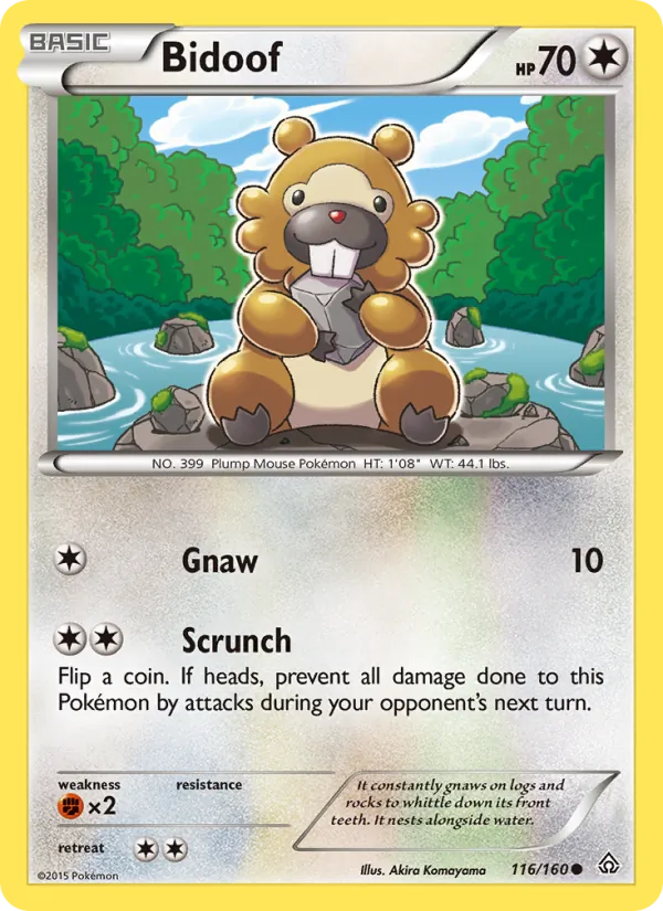 Bidoof — Primal Clash #116 (Pokémon TCG card)