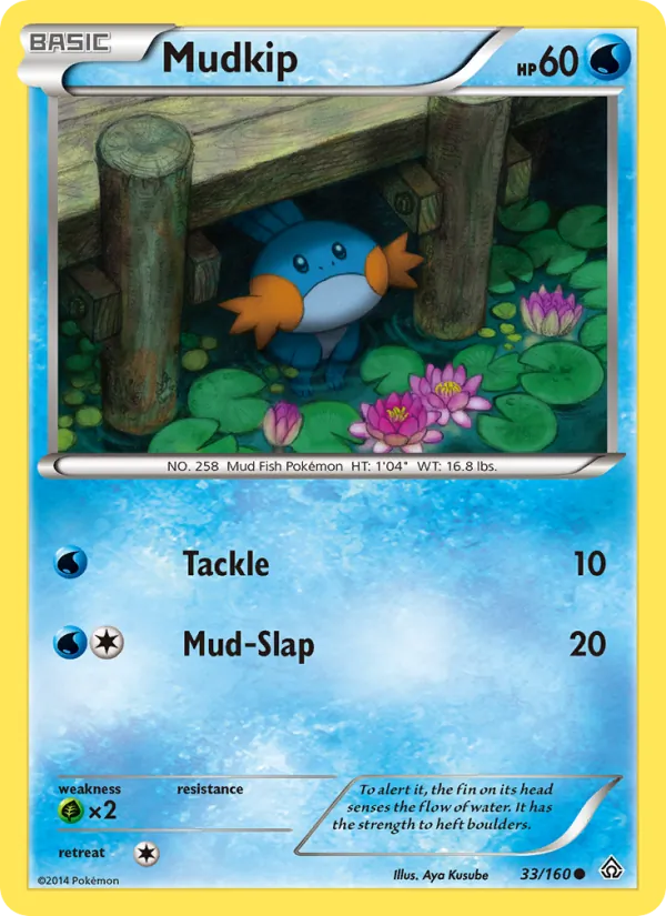 Mudkip — Primal Clash #33 (Pokémon TCG card)