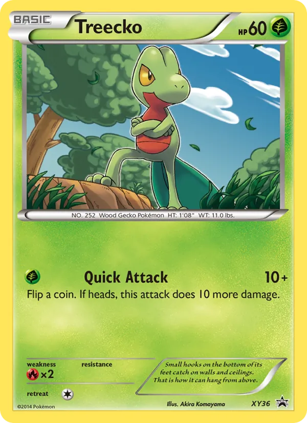 Treecko — XY Black Star Promos #XY36 (Pokémon TCG card)