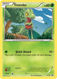 Treecko (XY Black Star Promos #XY36)