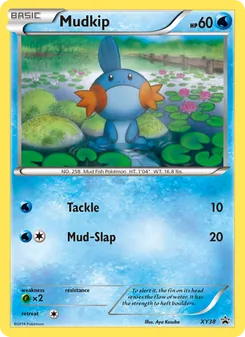 Mudkip (XY Black Star Promos #XY38)